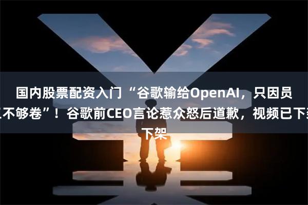 国内股票配资入门 “谷歌输给OpenAI，只因员工不够卷”！谷歌前CEO言论惹众怒后道歉，视频已下架