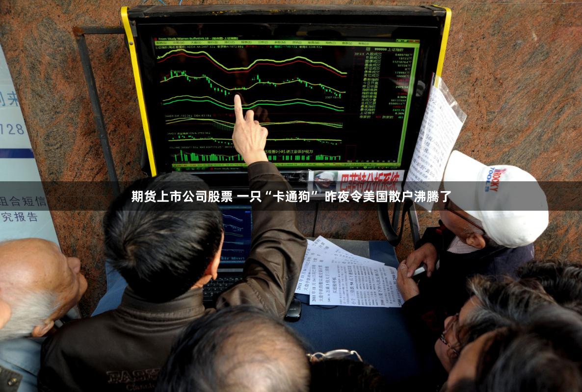期货上市公司股票 一只“卡通狗” 昨夜令美国散户沸腾了