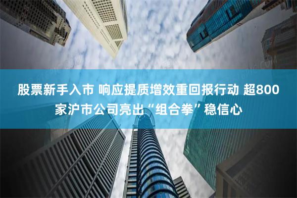 股票新手入市 响应提质增效重回报行动 超800家沪市公司亮出“组合拳”稳信心