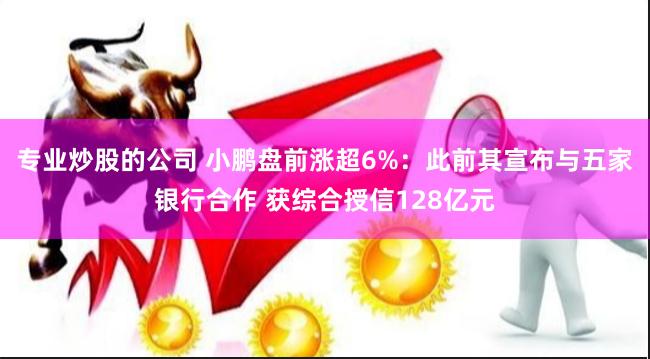 专业炒股的公司 小鹏盘前涨超6%：此前其宣布与五家银行合作 获综合授信128亿元