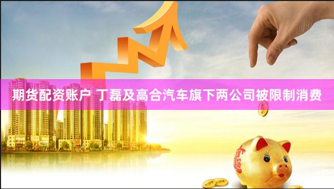 期货配资账户 丁磊及高合汽车旗下两公司被限制消费
