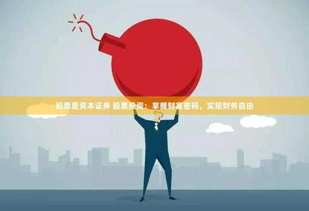 股票是资本证券 股票投资：掌握财富密码，实现财务自由